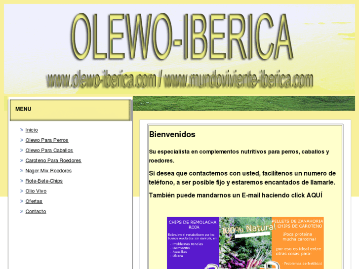 www.olewo-iberica.com