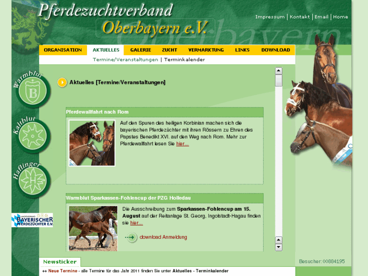 www.pferde-obb.de