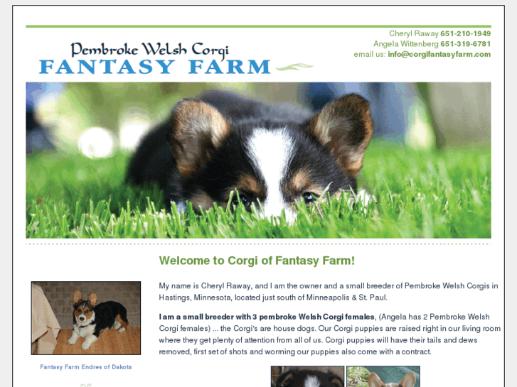 www.corgifantasyfarm.com