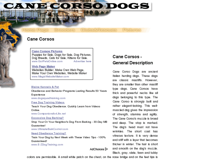 www.cane-corso-dogs.com