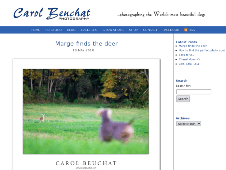 www.carolbeuchat.com