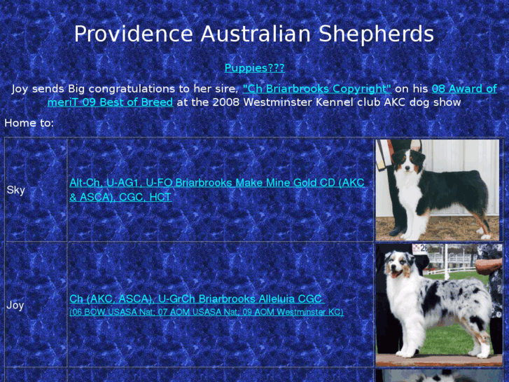 www.providenceaussies.com