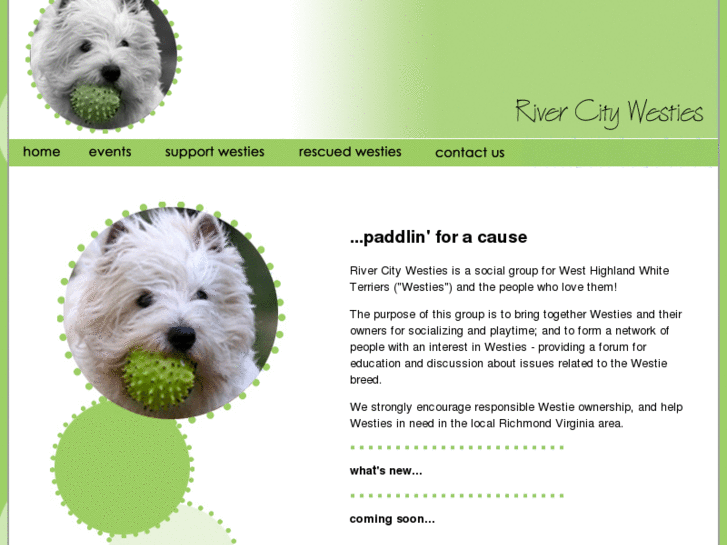 www.rivercitywesties.org