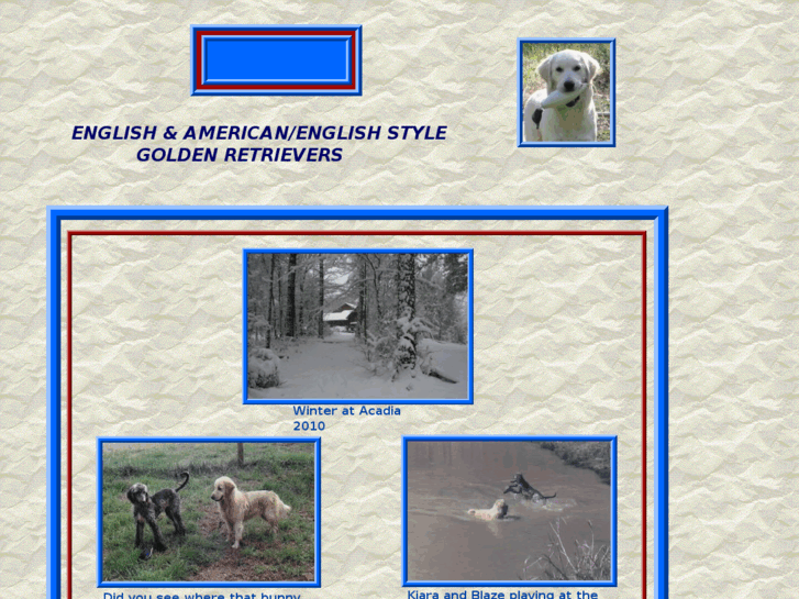 www.acadiagoldenretrievers.com