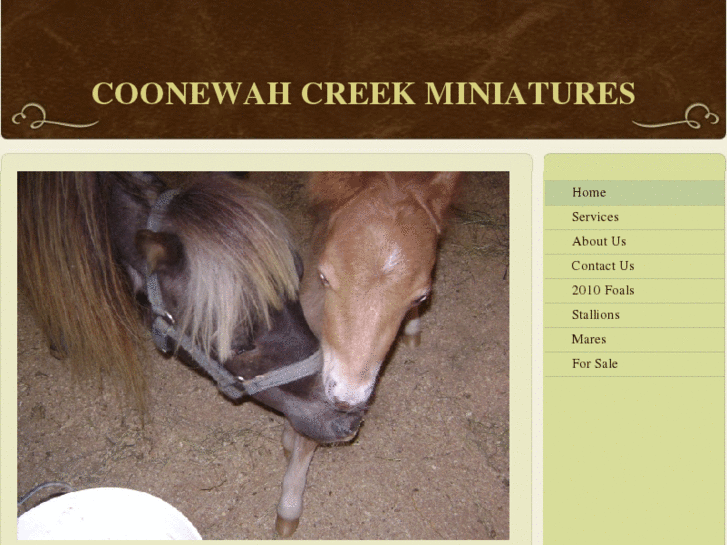 www.coonewahcreekminiatures.com