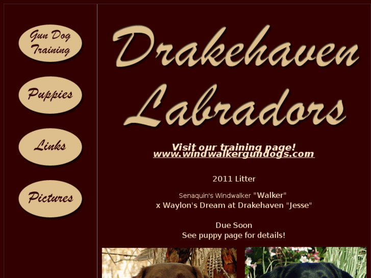 www.drakehaven.com