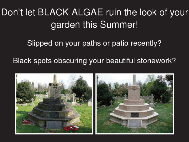 www.kill-black-algae.com