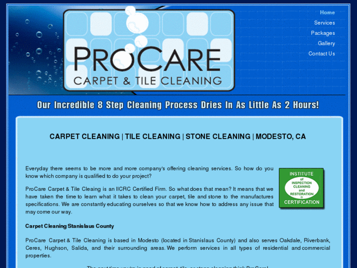 www.modestocleancarpets.com