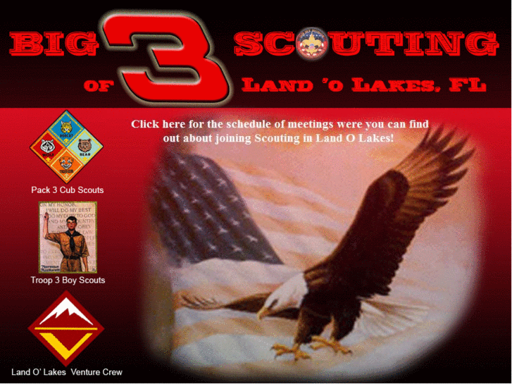 www.big3scouting.org