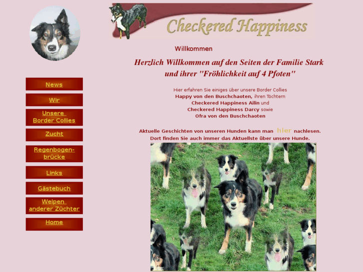 www.checkeredhappiness.info