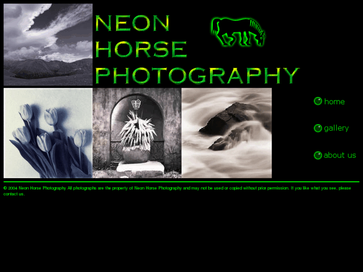 www.neonhorsephotography.com