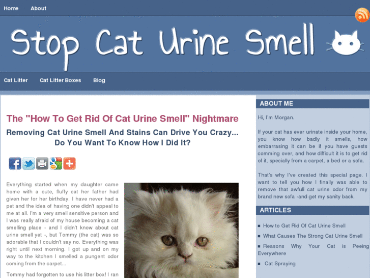 www.stopcaturinesmell.com