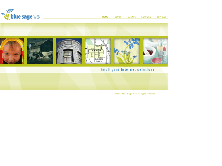 www.bluesageweb.com