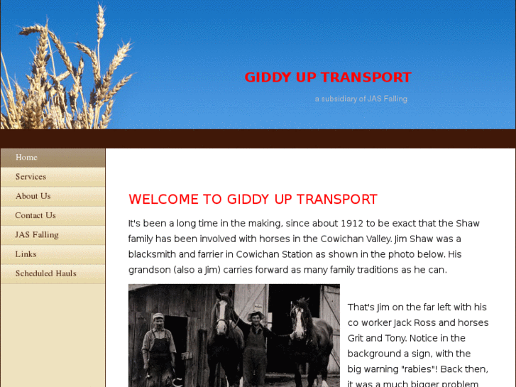 www.giddyuptransport.com