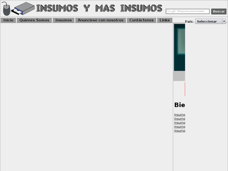 www.insumosymasinsumos.com