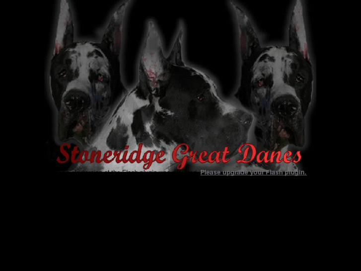 www.stoneridgegreatdanes.com