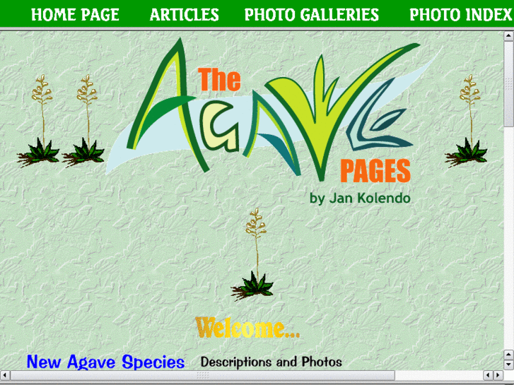 www.agavepages.co.uk