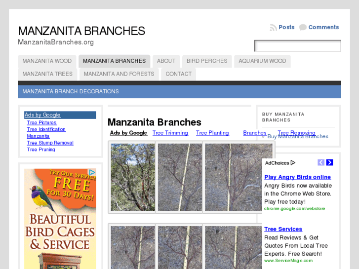 www.manzanitabranches.org