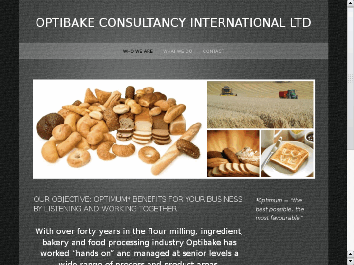 www.optibakeconsultancy.com