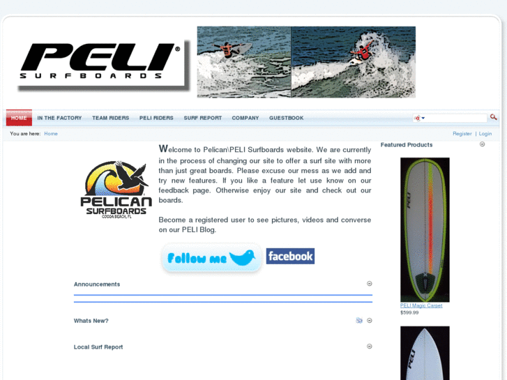 www.pelisurfboards.com