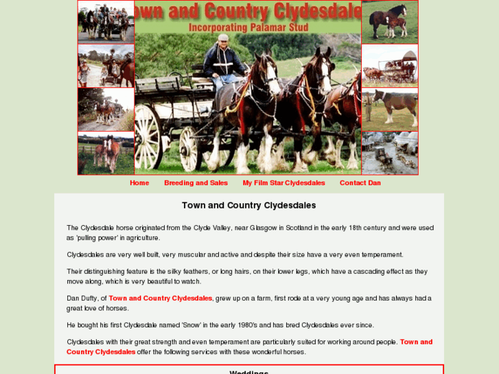 www.townandcountryclydesdales.co.nz