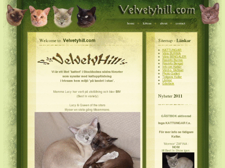 www.velvetyhill.com