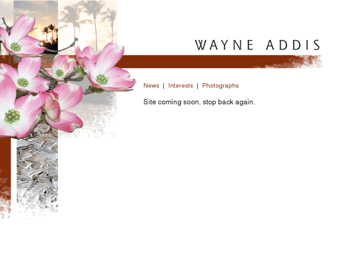 www.wayneaddis.com