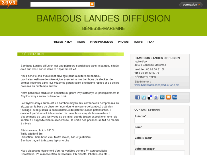 www.bambou-bambous-bamboo.com