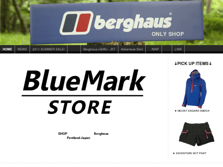 www.bluemarkstore.com