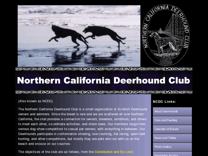 www.norcaldeerhounds.org