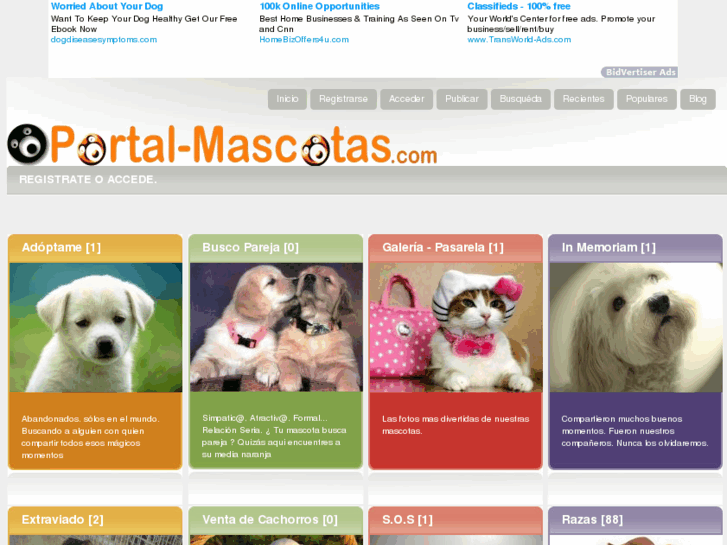 www.portal-mascotas.com