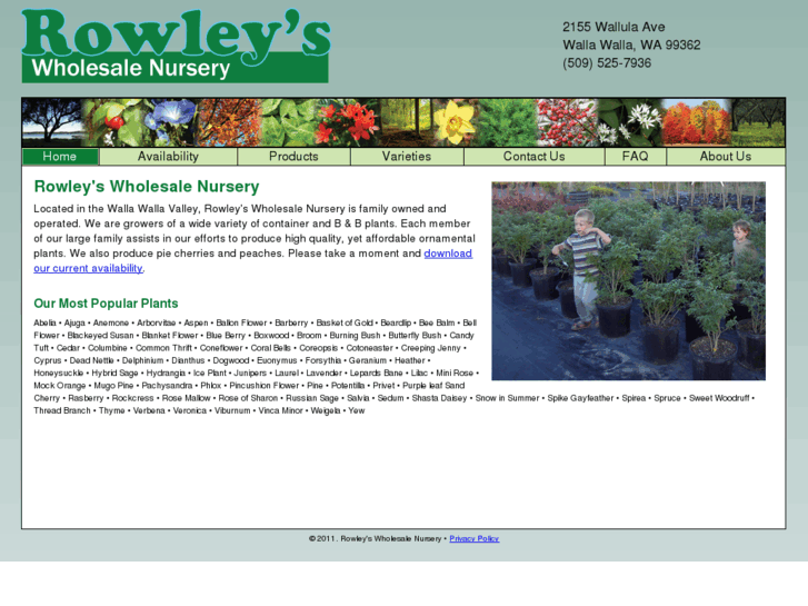 www.rowleysnursery.com