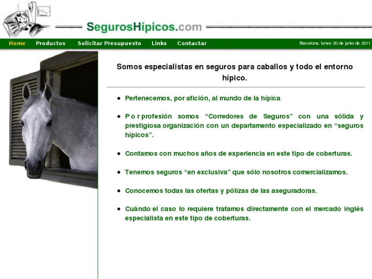 www.seguroshipicos.com