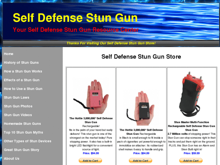 www.selfdefensestungun.com