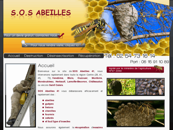 www.sos-abeilles-41.com