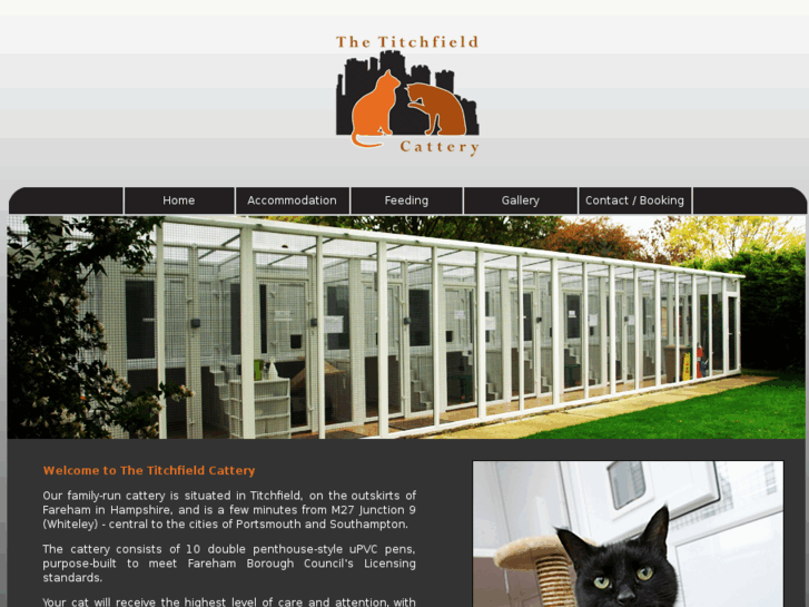 www.thetitchfieldcattery.com