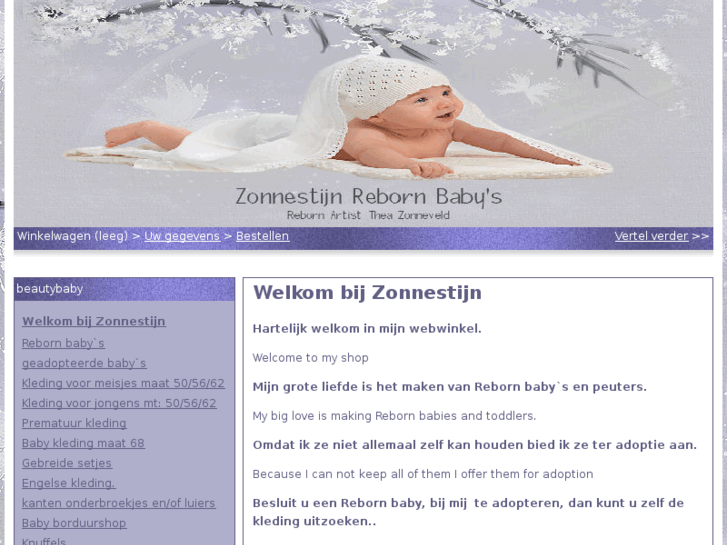 www.zonnestijn.com