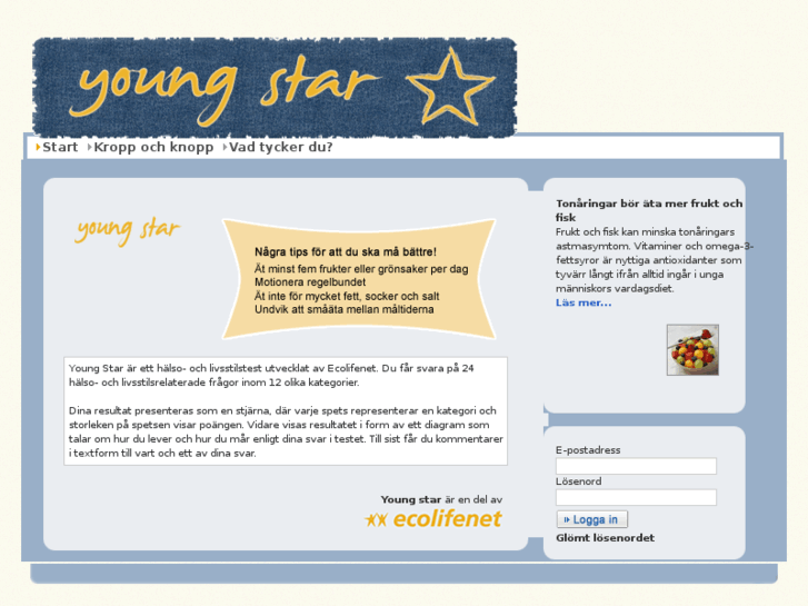 www.youngstar.se