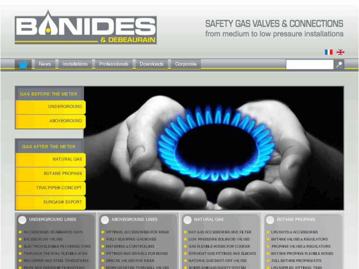 www.banides.com