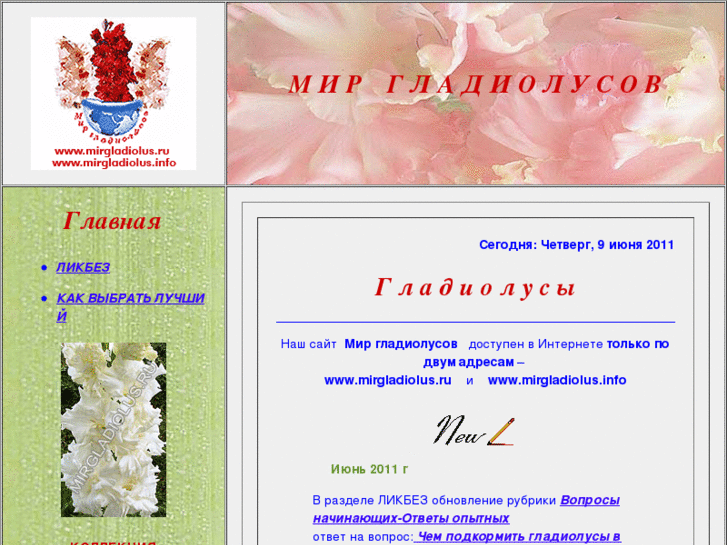 www.mirgladiolus.ru