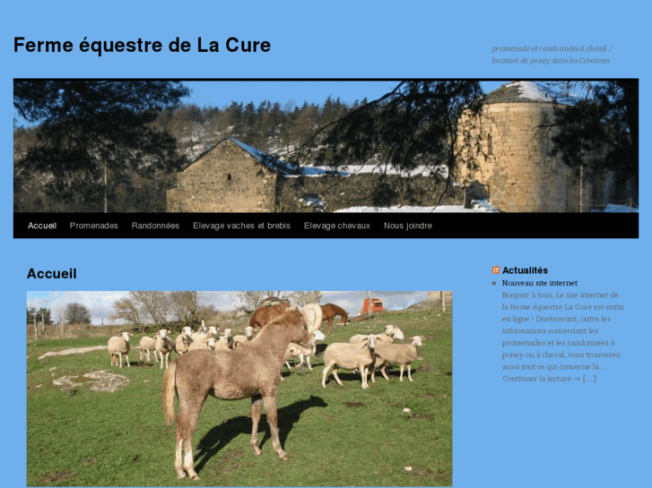 www.cheval-la-cure.com