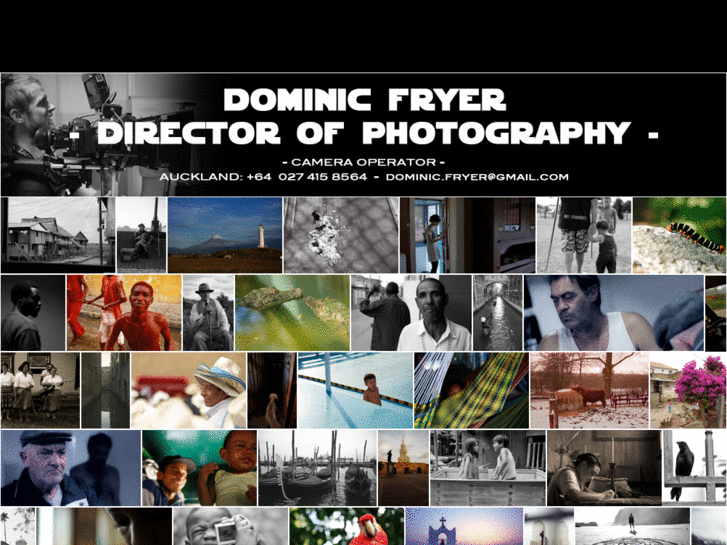 www.dominic-fryer.com