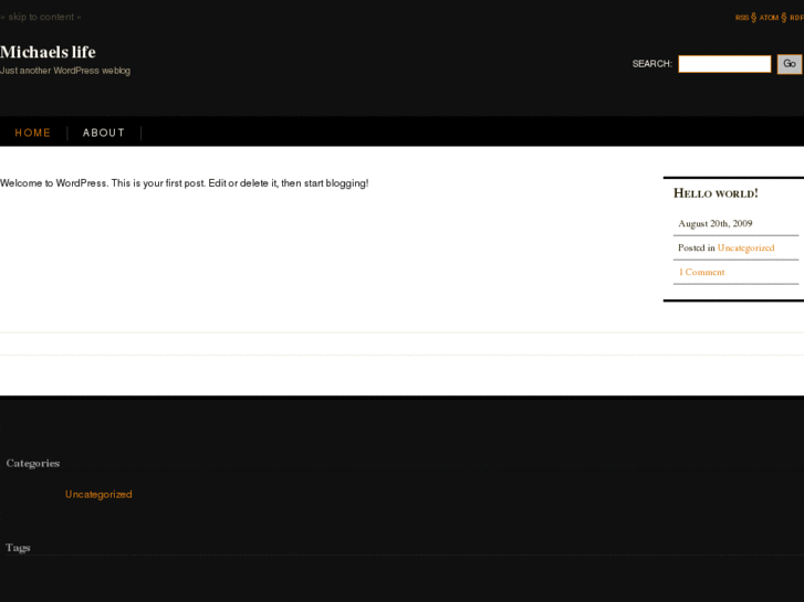 www.gizwiz.dk