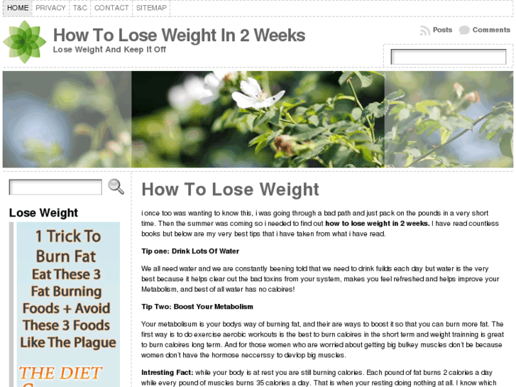 www.how-to-lose-weight-in-2-weeks.com