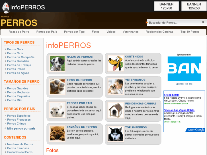 www.infoperros.net