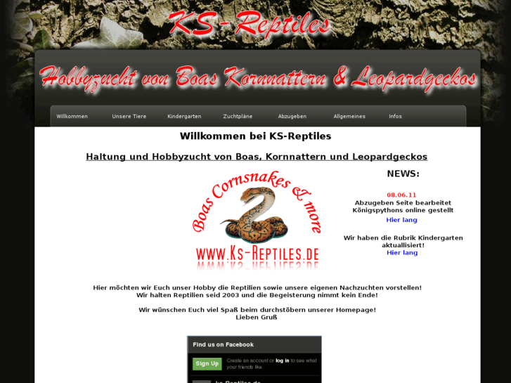 www.ks-reptiles.de