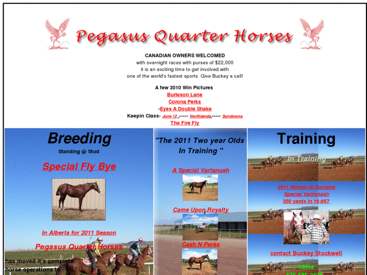 www.pegasusquarterhorses.com