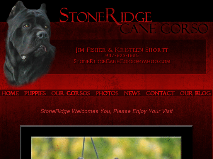 www.stoneridgecanecorso.com