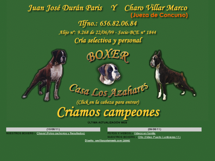 www.boxercasalosazahares.es