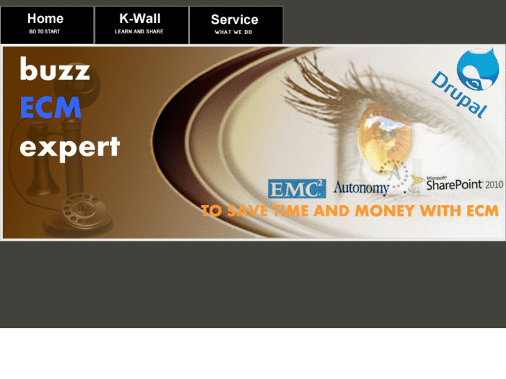 www.buzzecmexpert.com